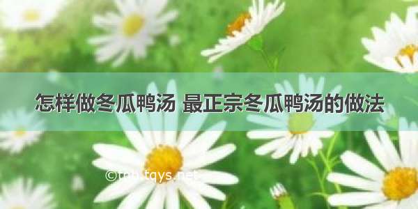 怎样做冬瓜鸭汤 最正宗冬瓜鸭汤的做法