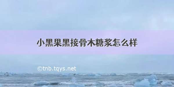 小黑果黑接骨木糖浆怎么样