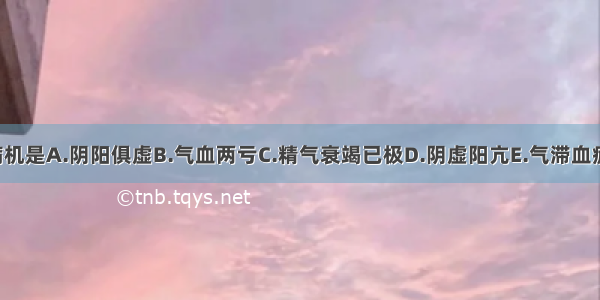 假神的病机是A.阴阳俱虚B.气血两亏C.精气衰竭已极D.阴虚阳亢E.气滞血瘀ABCDE