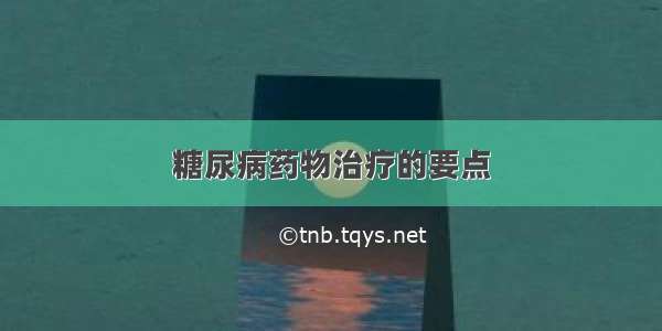 糖尿病药物治疗的要点