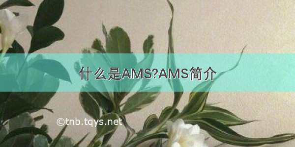 什么是AMS?AMS简介