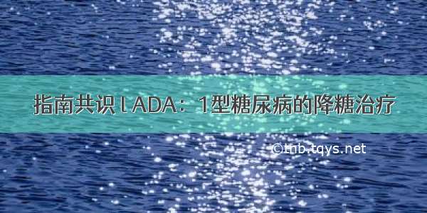 指南共识 l ADA：1型糖尿病的降糖治疗