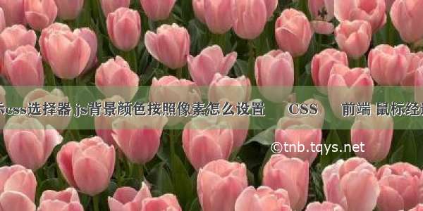 举例演示css选择器 js背景颜色按照像素怎么设置 – CSS – 前端 鼠标经过图片显