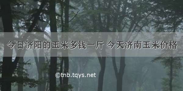 今日济阳的玉米多钱一斤 今天济南玉米价格