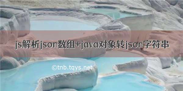 js解析json数组+java对象转json字符串