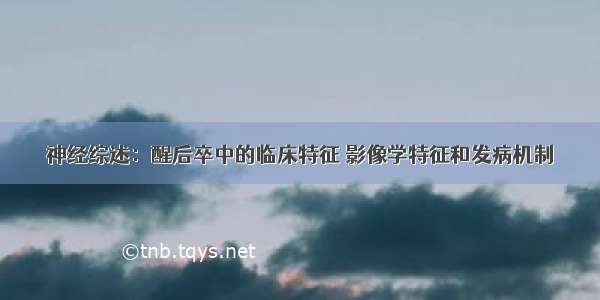 神经综述：醒后卒中的临床特征 影像学特征和发病机制