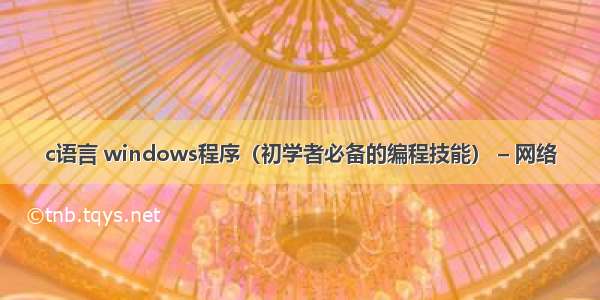 c语言 windows程序（初学者必备的编程技能） – 网络