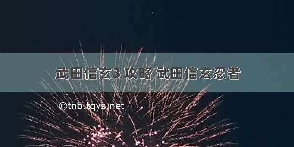 武田信玄3 攻略 武田信玄忍者