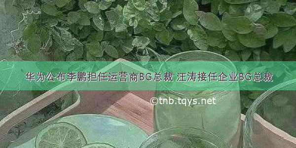 华为公布李鹏担任运营商BG总裁 汪涛接任企业BG总裁