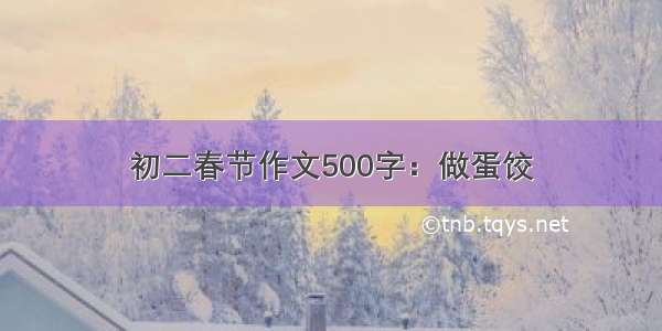 初二春节作文500字：做蛋饺