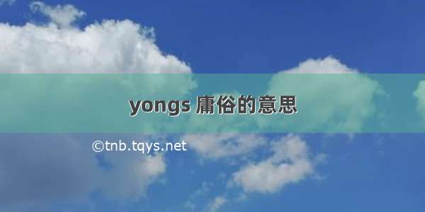 yongs 庸俗的意思