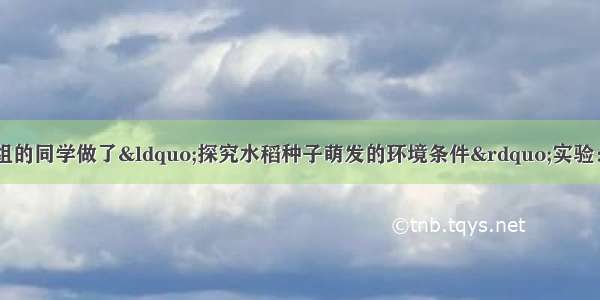 某校生物兴趣小组的同学做了&ldquo;探究水稻种子萌发的环境条件&rdquo;实验：在甲 乙 丙 丁四