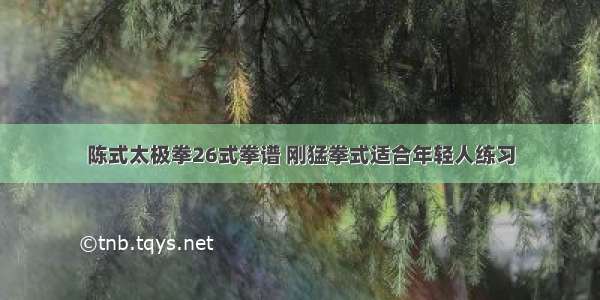 陈式太极拳26式拳谱 刚猛拳式适合年轻人练习