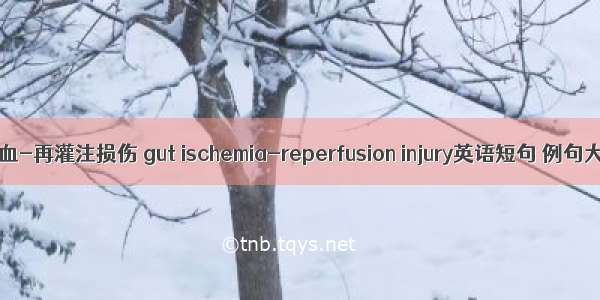 肠缺血-再灌注损伤 gut ischemia-reperfusion injury英语短句 例句大全