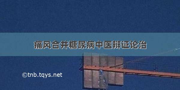 痛风合并糖尿病中医辩证论治