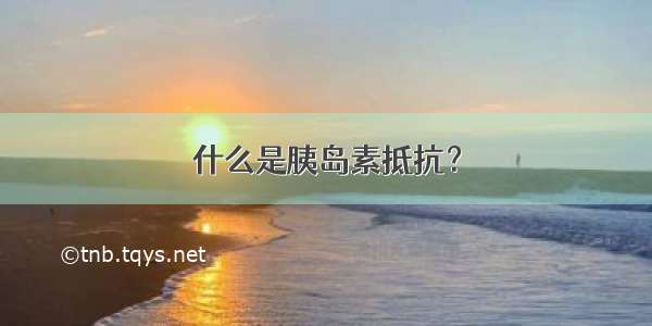 什么是胰岛素抵抗？