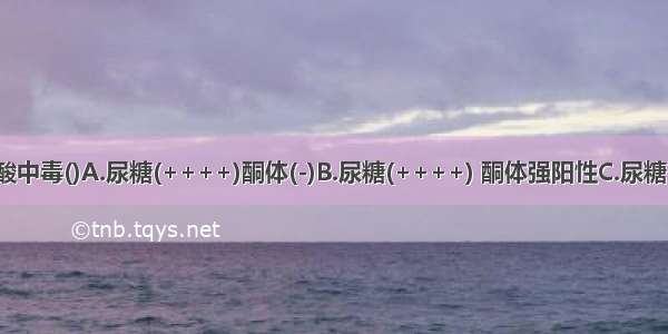 糖尿病酮症酸中毒()A.尿糖(++++)酮体(-)B.尿糖(++++) 酮体强阳性C.尿糖(-) 酮体(-)D