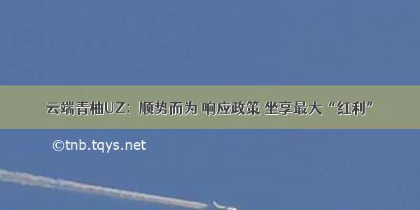 云端青柚UZ：顺势而为 响应政策 坐享最大“红利”