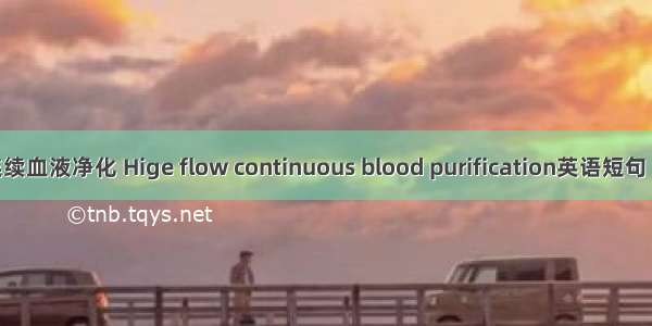 高流量连续血液净化 Hige flow continuous blood purification英语短句 例句大全