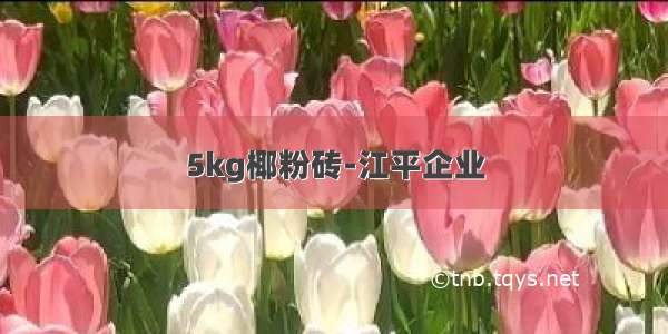 5kg椰粉砖-江平企业