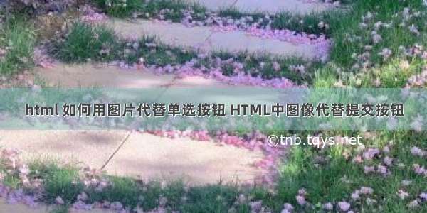 html 如何用图片代替单选按钮 HTML中图像代替提交按钮