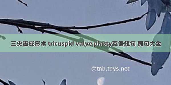 三尖瓣成形术 tricuspid valve plasty英语短句 例句大全