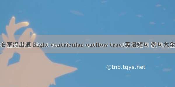 右室流出道 Right ventricular outflow tract英语短句 例句大全