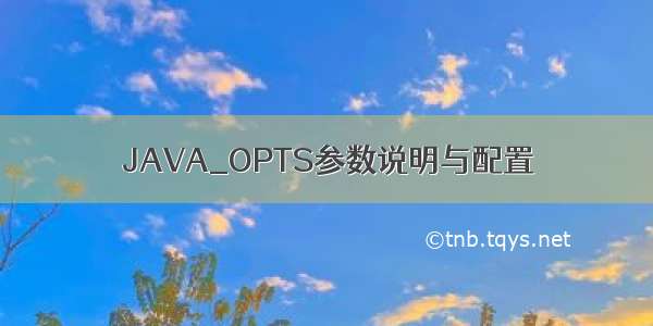 JAVA_OPTS参数说明与配置