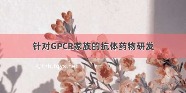 针对GPCR家族的抗体药物研发