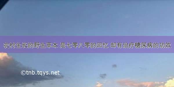 农村生长的野生草本 是七零八零的回忆 却有治疗糖尿病的功效