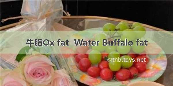 牛脂Ox fat  Water Buffalo fat