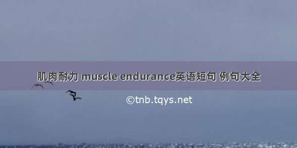 肌肉耐力 muscle endurance英语短句 例句大全