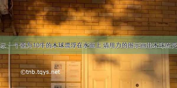 如图所示 一个重为10牛的木球漂浮在水面上 请用力的图示画出木球所受到的力．