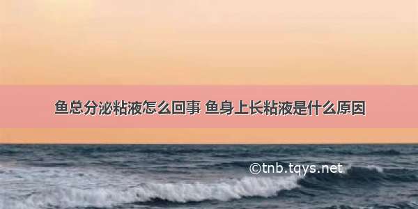 鱼总分泌粘液怎么回事 鱼身上长粘液是什么原因