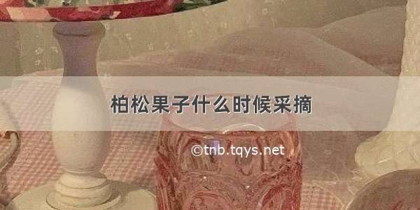 柏松果子什么时候采摘