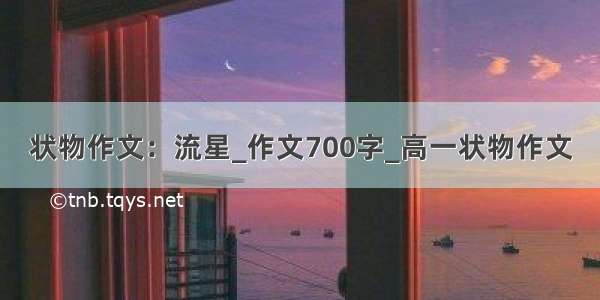 状物作文：流星_作文700字_高一状物作文