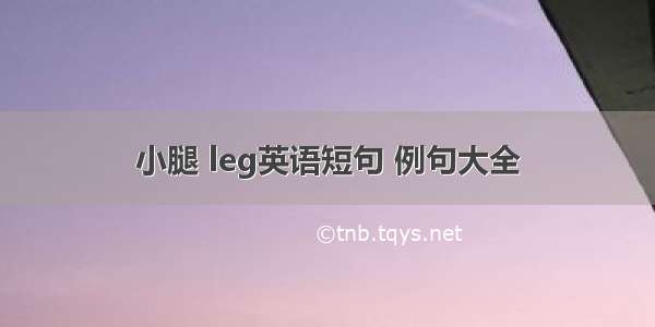 小腿 leg英语短句 例句大全