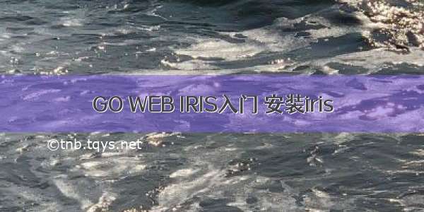 GO WEB IRIS入门 安装iris