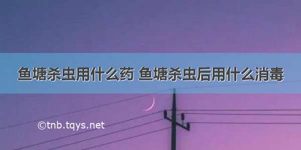 鱼塘杀虫用什么药 鱼塘杀虫后用什么消毒