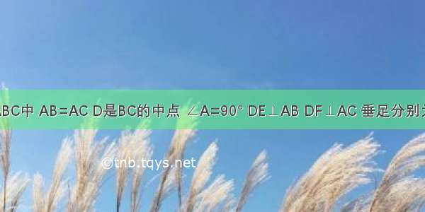 如图 △ABC中 AB=AC D是BC的中点 ∠A=90° DE⊥AB DF⊥AC 垂足分别为E F．试