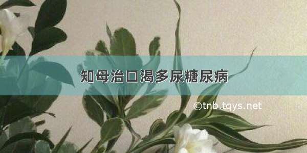 知母治口渴多尿糖尿病