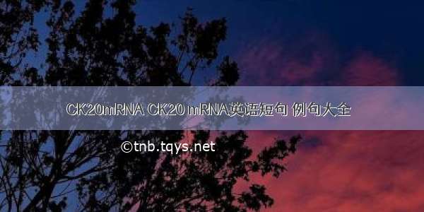 CK20mRNA CK20 mRNA英语短句 例句大全