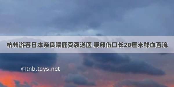 杭州游客日本奈良喂鹿受袭送医 腰部伤口长20厘米鲜血直流