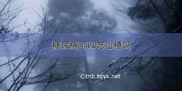 糖尿病可以吃山楂吗