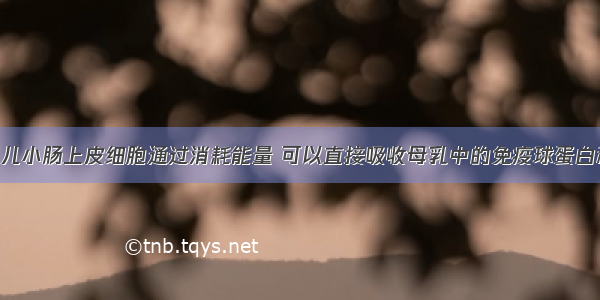 单选题新生儿小肠上皮细胞通过消耗能量 可以直接吸收母乳中的免疫球蛋白和葡萄糖 下