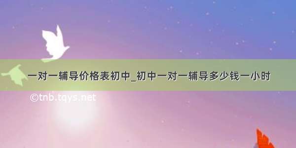 一对一辅导价格表初中_初中一对一辅导多少钱一小时