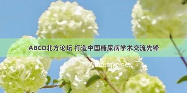 ABCD北方论坛 打造中国糖尿病学术交流先锋