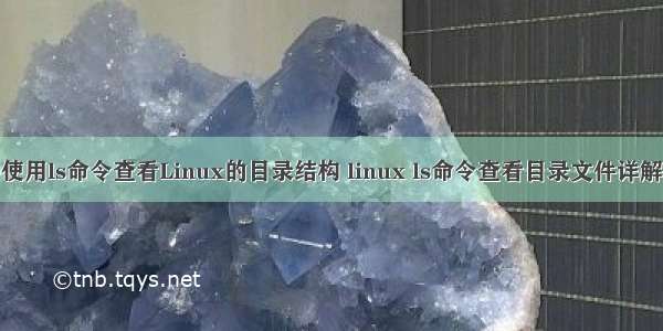 使用ls命令查看Linux的目录结构 linux ls命令查看目录文件详解