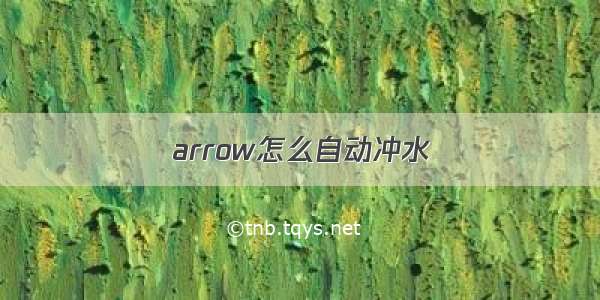 arrow怎么自动冲水