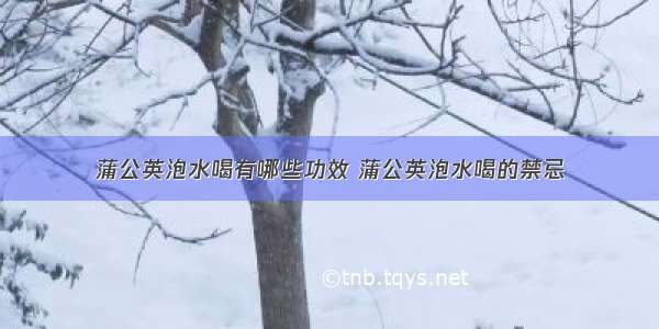 蒲公英泡水喝有哪些功效 蒲公英泡水喝的禁忌